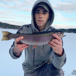 Meet your Posher, Brad-lee